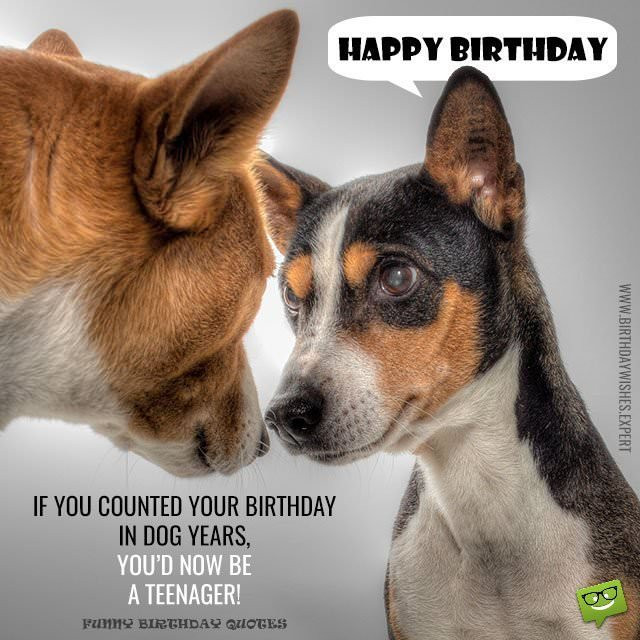 Best ideas about Happy Birthday Dog Quotes
. Save or Pin Huge List of Funny Birthday Messages Wishes Now.