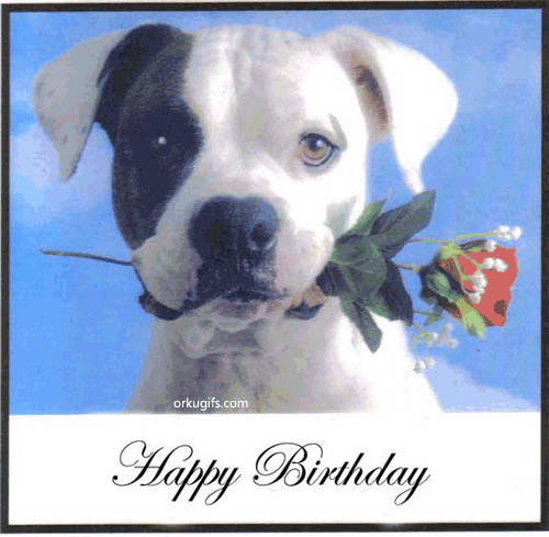 Best ideas about Happy Birthday Dog Quotes
. Save or Pin Happy Birthday Quotes For Dogs QuotesGram Now.