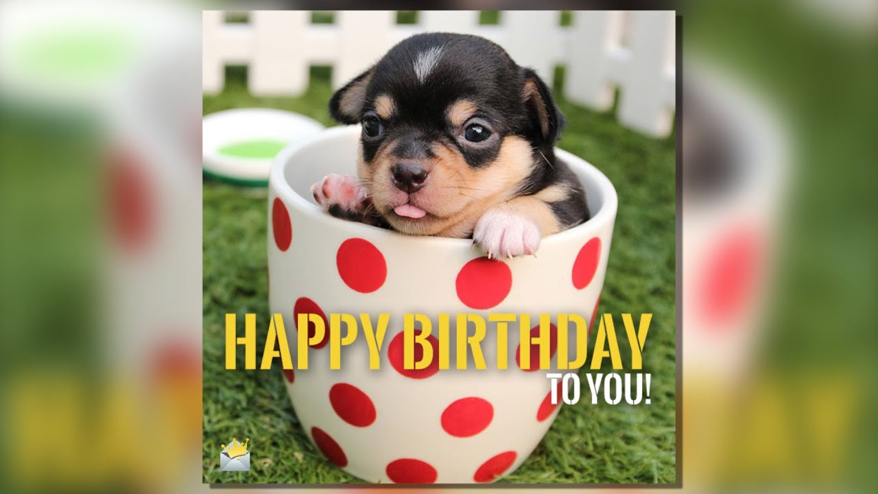 Best ideas about Happy Birthday Funny Animals
. Save or Pin Happy Birthday Two Words from Cute Animals Now.