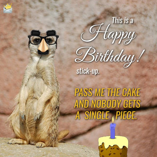 Best ideas about Happy Birthday Funny Animals
. Save or Pin Happy Birthday Animal Now.