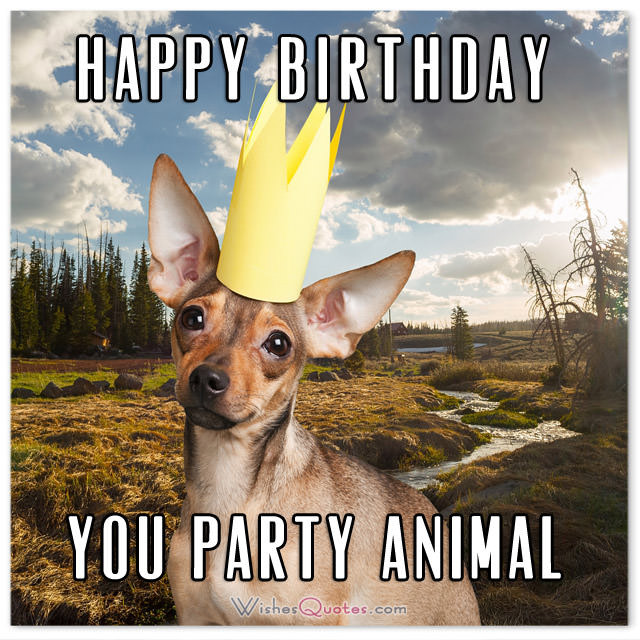 Best ideas about Happy Birthday Funny Animals
. Save or Pin The Funniest and most Hilarious Birthday Messages and Cards Now.