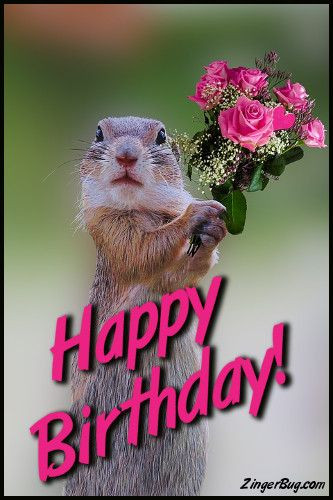 Best ideas about Happy Birthday Funny Animals
. Save or Pin Happy Birthday Cute Squirrel With Bouquet Glitter Graphic Now.