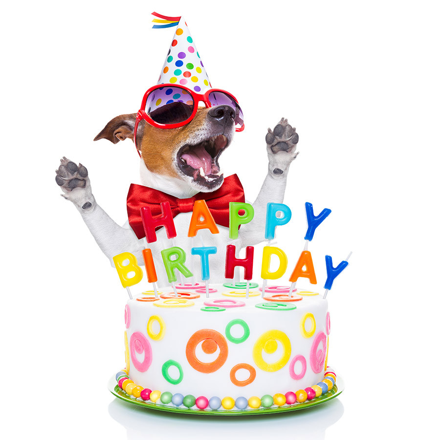 Best ideas about Happy Birthday Funny Cards
. Save or Pin 15 Funniest Happy Birthday Cards Now.