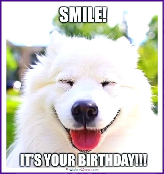 Best ideas about Happy Birthday Funny Dog
. Save or Pin Happy Birthday Memes with Funny Cats Dogs and Cute Now.