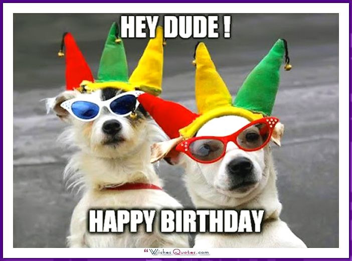 Best ideas about Happy Birthday Funny Dog
. Save or Pin Funny Birthday dog picture Happy Birthday pictures Now.