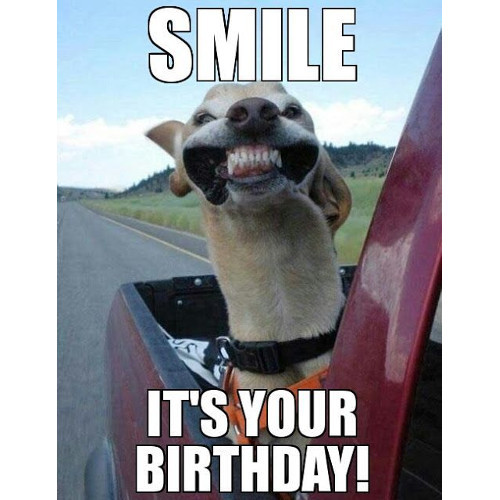 Best ideas about Happy Birthday Images Funny
. Save or Pin THE 150 FUNNIEST HAPPY BIRTHDAY MEMES Dank Memes ly Now.