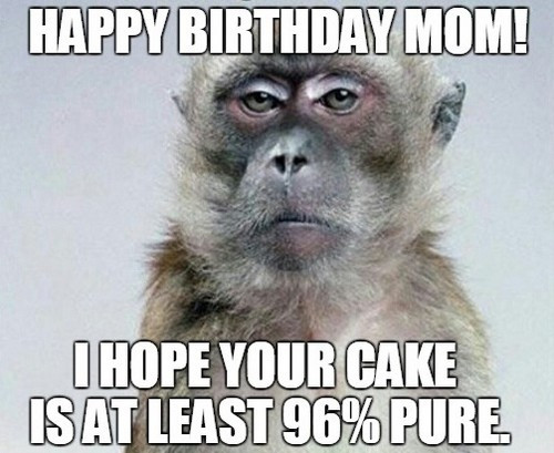 Best ideas about Happy Birthday Mom Funny Meme
. Save or Pin 61 Funniest Happy Birthday Mom Meme Now.