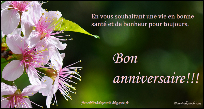 Best ideas about Happy Birthday Wishes In French
. Save or Pin Birthday Wishes In French Page 2 Now.