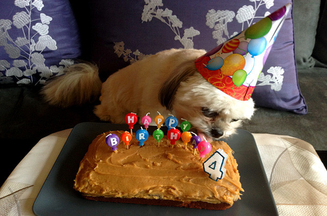 Best ideas about Healthy Dog Birthday Cake Recipes
. Save or Pin Party Down Dog Birthday Cake Recipe Now.