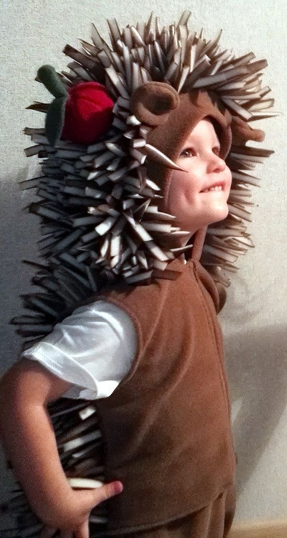 Best ideas about Hedgehog Costume DIY
. Save or Pin 715 best animal todler costumes images on Pinterest Now.