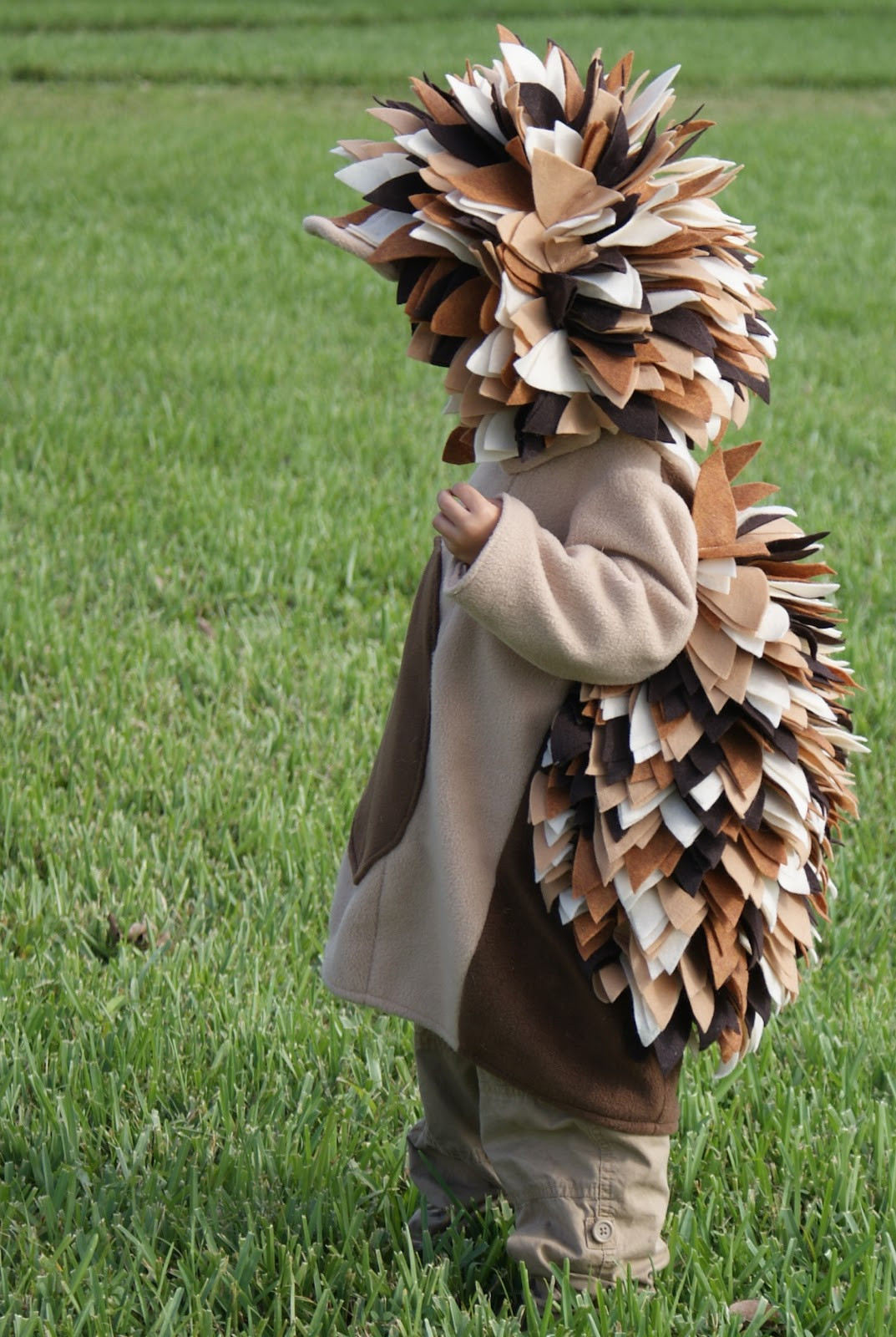 Best ideas about Hedgehog Costume DIY
. Save or Pin I Hold All The Cards Hedgehog Costumes Now.