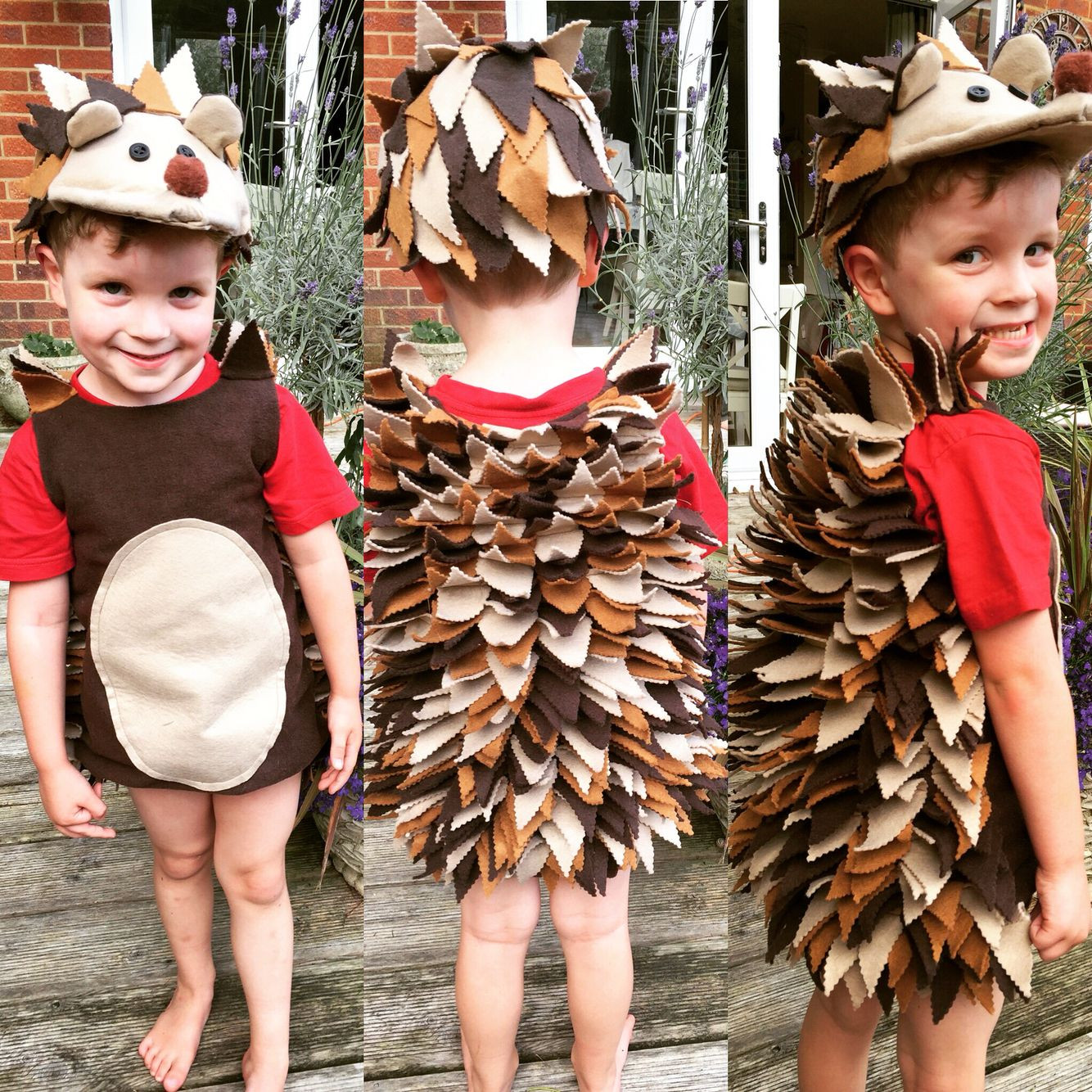 Best ideas about Hedgehog Costume DIY
. Save or Pin A hedgehog costume that I made for my son Mostly made up Now.