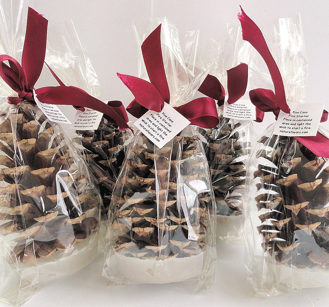 Best ideas about Holiday Party Gift Ideas
. Save or Pin 25 Pine Cone Fire Starter Christmas Party Favors Holiday Now.