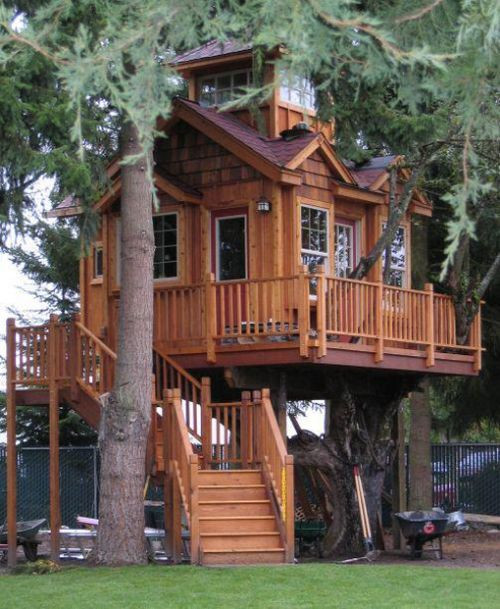 Best ideas about Home For Adults
. Save or Pin Tree Houses for Adults 40 pics Now.