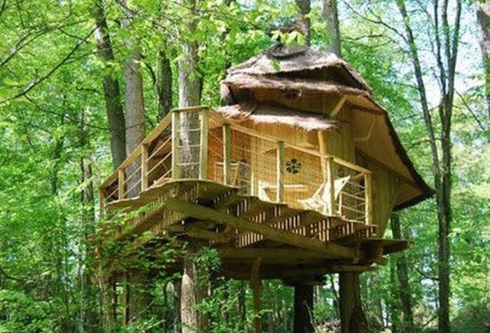 Best ideas about Home For Adults
. Save or Pin Tree Houses for Adults 40 pics Now.
