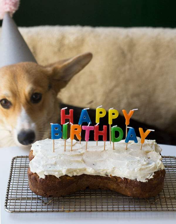 Best ideas about Homemade Dog Birthday Cake
. Save or Pin Happy Birthday Amelia – A Cozy Kitchen Now.