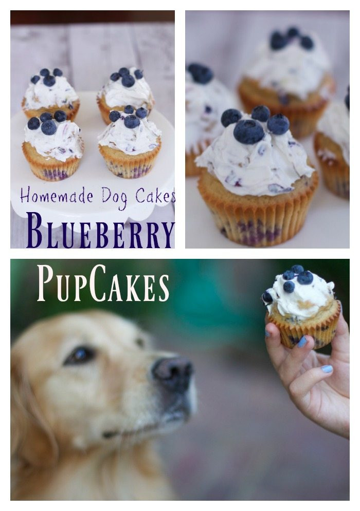 Best ideas about Homemade Dog Birthday Cake
. Save or Pin Simple Homemade Dog Cake Recipe Blueberry Pupcakes Now.