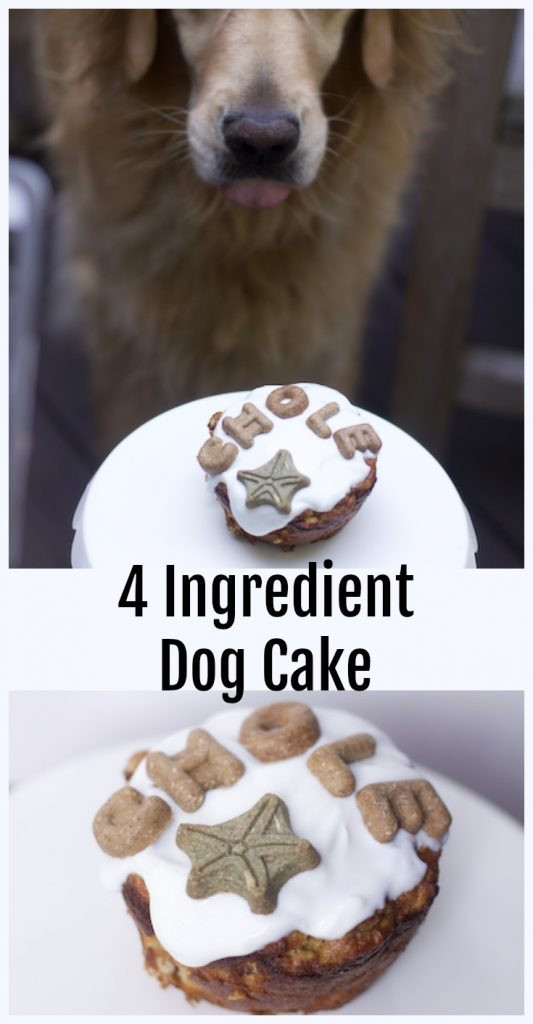 Best ideas about Homemade Dog Birthday Cake
. Save or Pin The Easiest Dog Birthday Cake Recipe for a Dog Birthday Now.