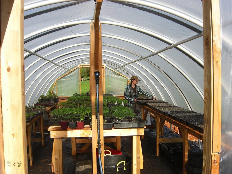 Best ideas about Hoop House DIY
. Save or Pin DIY Hoop Greenhouse Now.