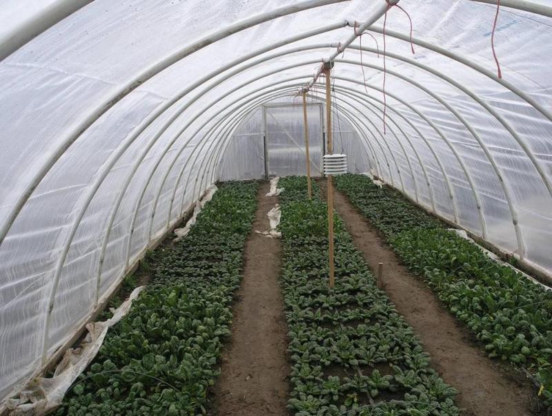 Best ideas about Hoop House DIY
. Save or Pin DIY Greenhouse Now.