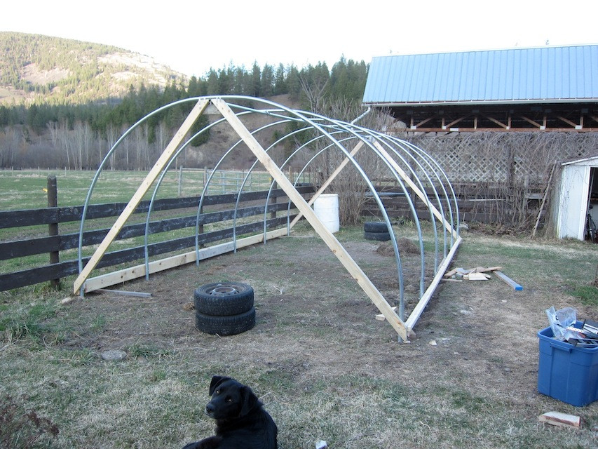 Best ideas about Hoop House DIY
. Save or Pin Farm Glance Roots Up Farm s DIY Hoophouse — The Ruminant Now.