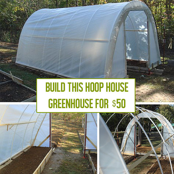 Best ideas about Hoop House DIY
. Save or Pin How to Build a Hoop House Greenhouse for $50 f Grid World Now.