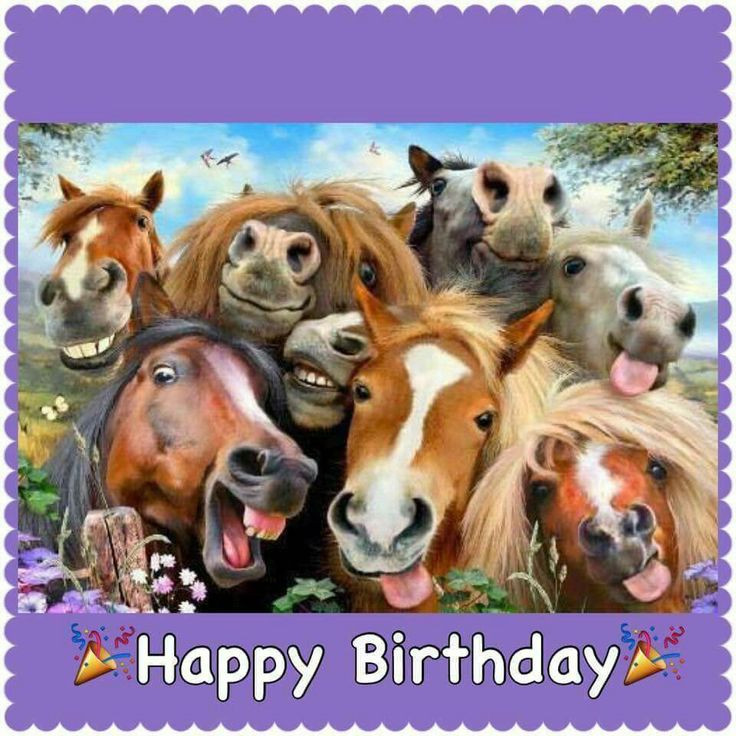 Best ideas about Horse Birthday Wishes
. Save or Pin 95 best images about Horse Birthday Quotes on Pinterest Now.