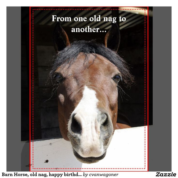 Best ideas about Horse Birthday Wishes
. Save or Pin 95 best images about Horse Birthday Quotes on Pinterest Now.