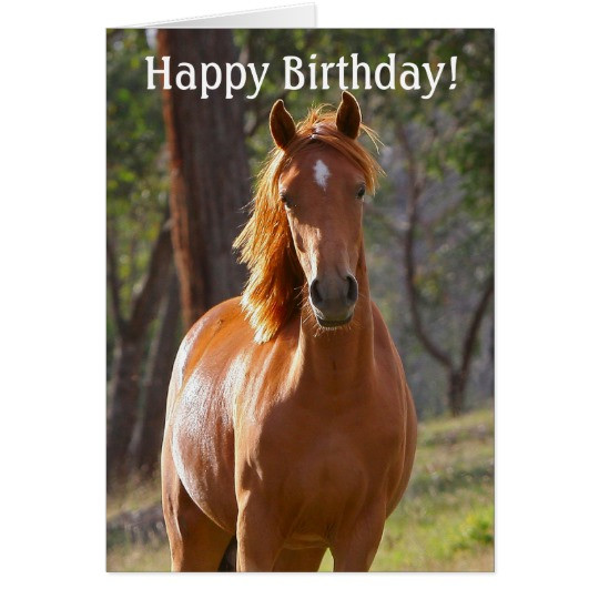 Best ideas about Horse Birthday Wishes
. Save or Pin Horse Happy Birthday Card for Horse lovers Now.