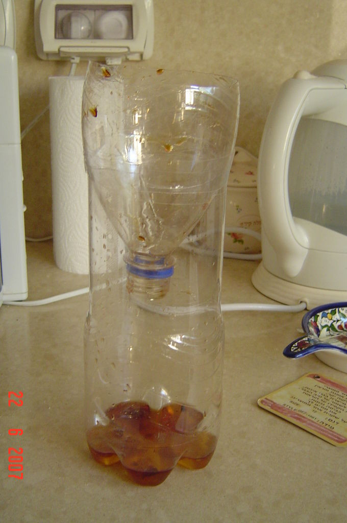 Best ideas about House Fly Trap DIY
. Save or Pin Make a Fly Trap in 2 Simple Steps Now.