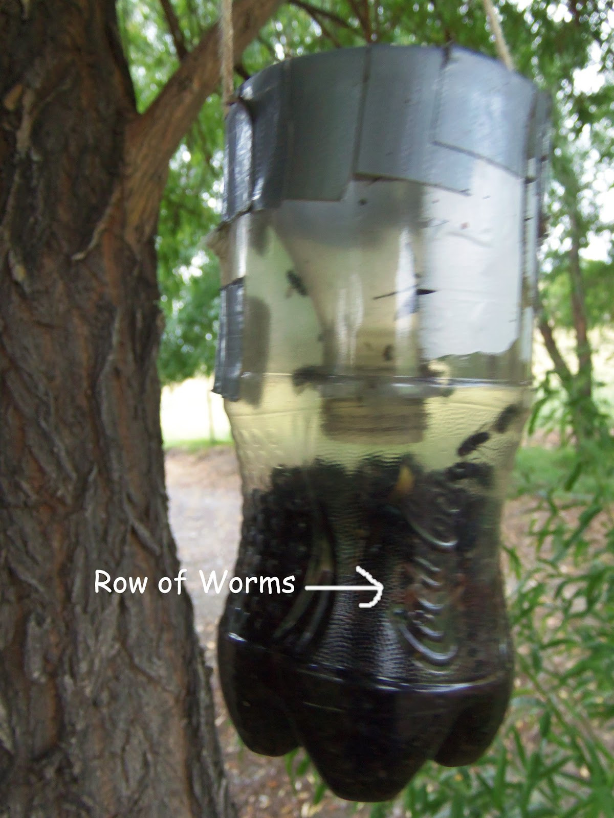 Best ideas about House Fly Trap DIY
. Save or Pin A Day in the Life of Mrs Cravitz Home Made Fly Trap Now.