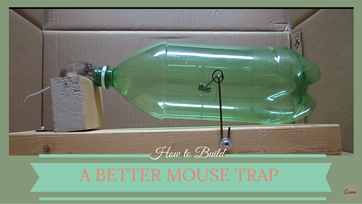 Best ideas about Humane Mouse Trap DIY
. Save or Pin Diy Glue Trap Do It Your Self DIY Now.