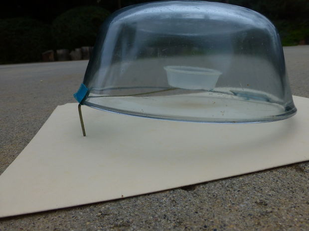 Best ideas about Humane Mouse Trap DIY
. Save or Pin Easy humane mouse trap All Now.