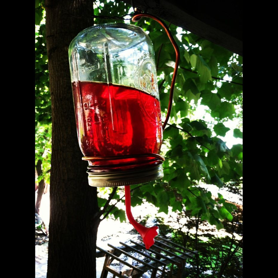 Best ideas about Hummingbird Feeder DIY
. Save or Pin DIY humming bird feeder mason jar DIY Pinterest Now.