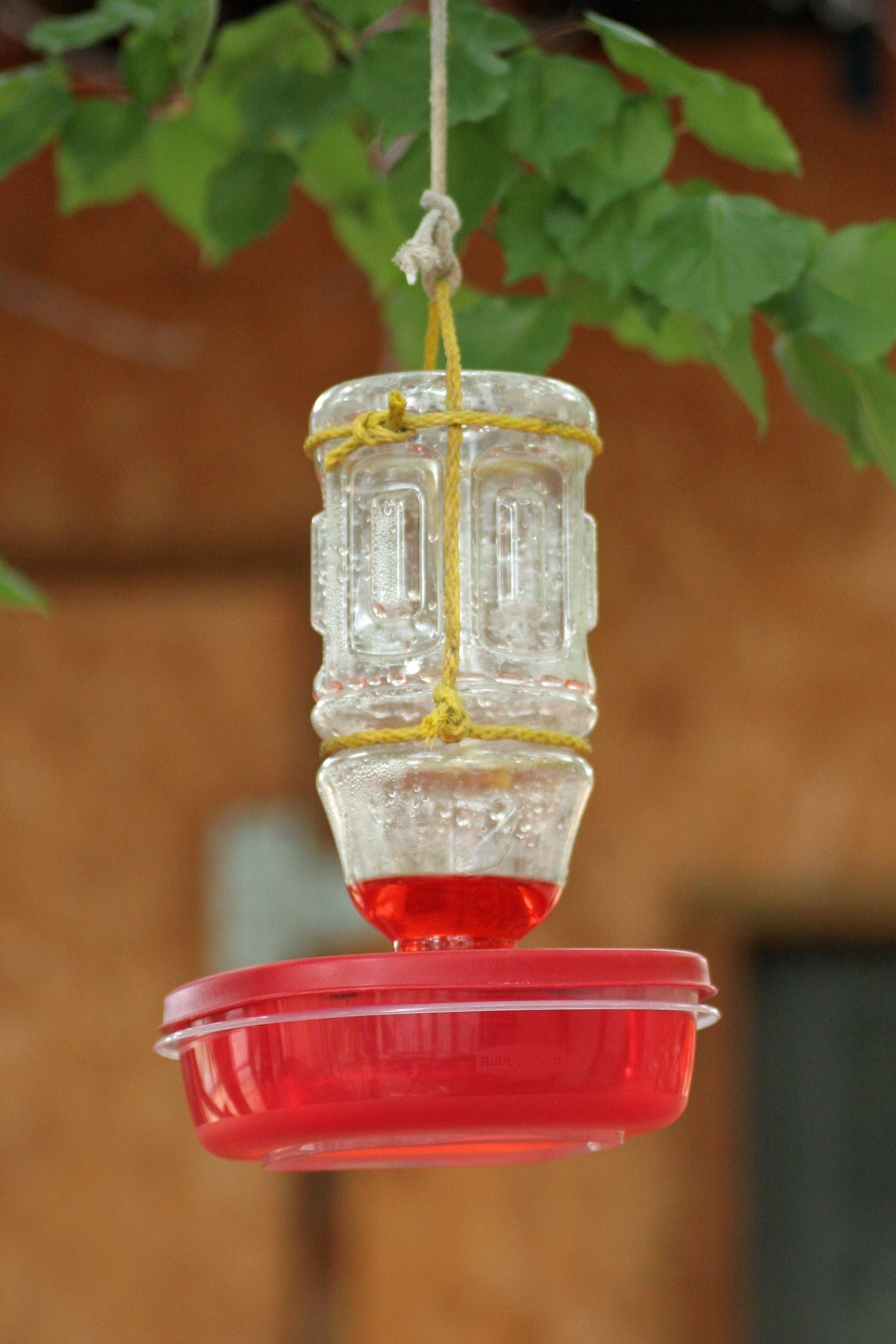 Best ideas about Hummingbird Feeder DIY
. Save or Pin DIY Hummingbird Feeder – Stars & Sunshine Now.