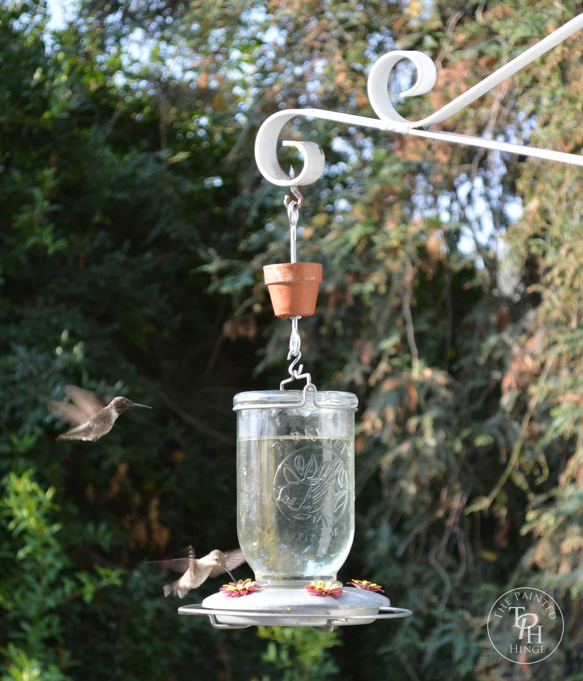 Best ideas about Hummingbird Feeder DIY
. Save or Pin DIY Hummingbird Feeder Ant Moat Tutorial Now.