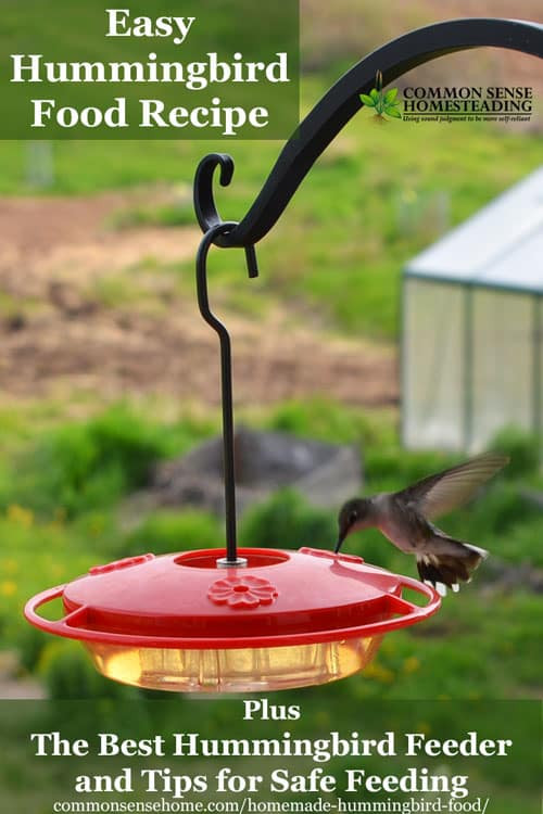 Best ideas about Hummingbird Food DIY
. Save or Pin Homemade Hummingbird Food Recipe and the Best Hummingbird Now.