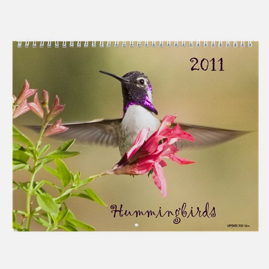 Best ideas about Hummingbird Gift Ideas
. Save or Pin Hummingbird Gifts & Merchandise Now.