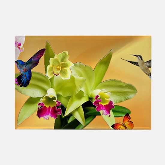 Best ideas about Hummingbird Gift Ideas
. Save or Pin Hummingbird Gifts & Merchandise Now.