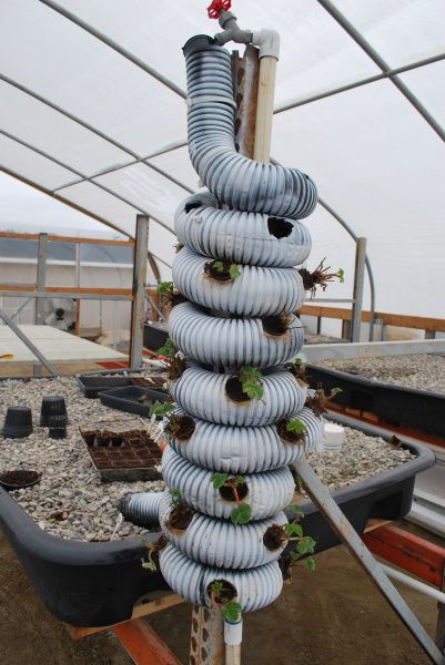 Best ideas about Hydroponic Tower Garden DIY
. Save or Pin DIY PVC Vertical Garden Tower Now.