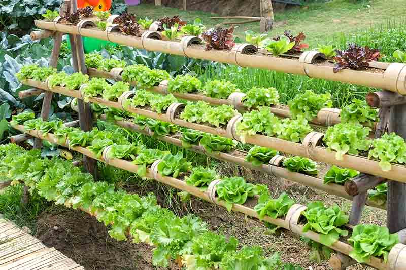 Best ideas about Hydroponics DIY Plans
. Save or Pin 16 Easy DIY Hydroponic Plans You Can Build in Your Garden Now.