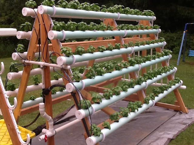 Best ideas about Hydroponics DIY Plans
. Save or Pin How To Grow 168 Plants In A 6 X 10 Space With A DIY A Now.