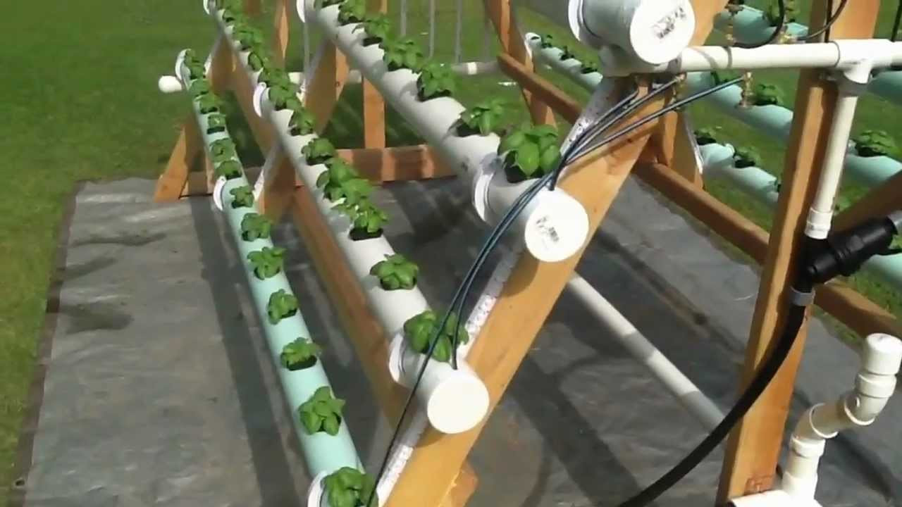 Best ideas about Hydroponics DIY Plans
. Save or Pin Homemade vertical A Frame hydroponic system Now.