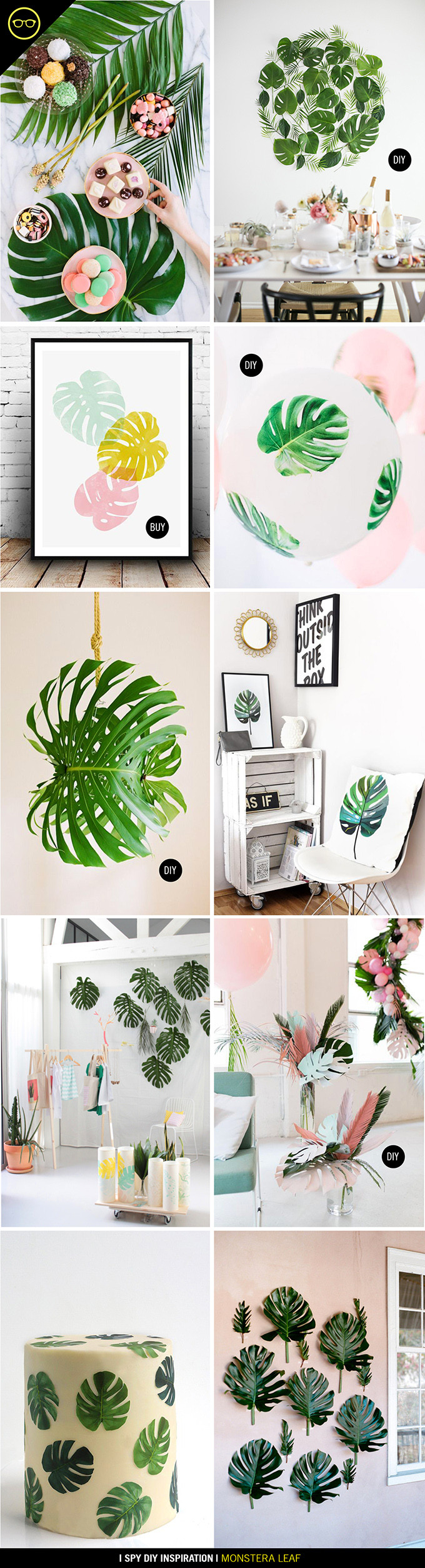 Best ideas about I Spy DIY
. Save or Pin DIY INSPIRATION Monstera leaves I Spy DIY Now.