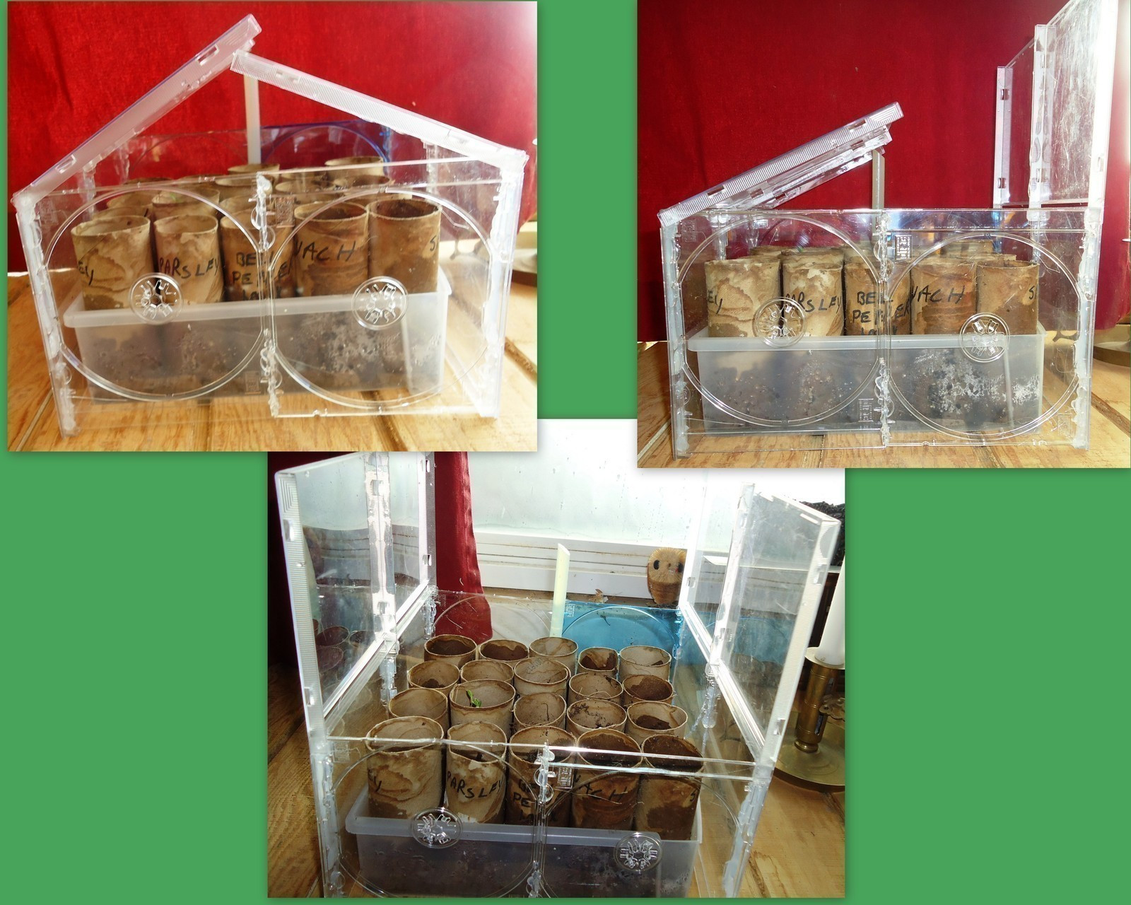 Best ideas about Indoor Greenhouse DIY
. Save or Pin Cd Case Mini Greenhouse · A Greenhouse · Home DIY on Cut Now.