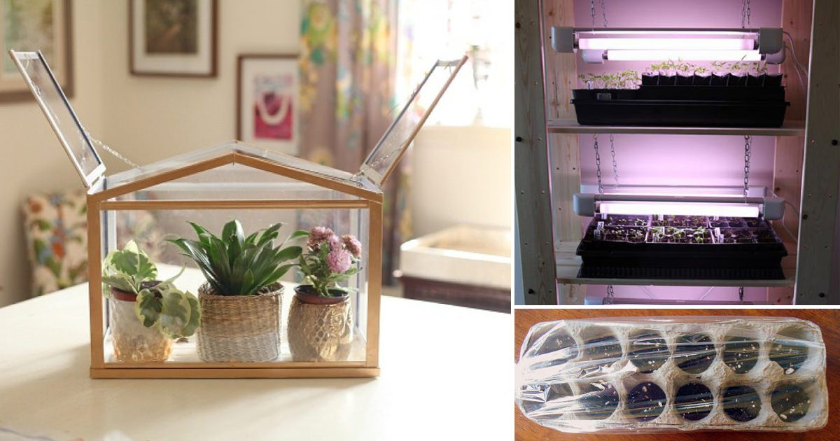 Best ideas about Indoor Greenhouse DIY
. Save or Pin 15 DIY Mini Indoor Greenhouse Ideas For Winter & Early Now.