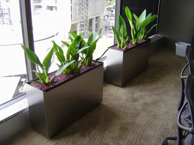Best ideas about Indoor Planter Box
. Save or Pin Indoor Plant Pots Melbourne Now.