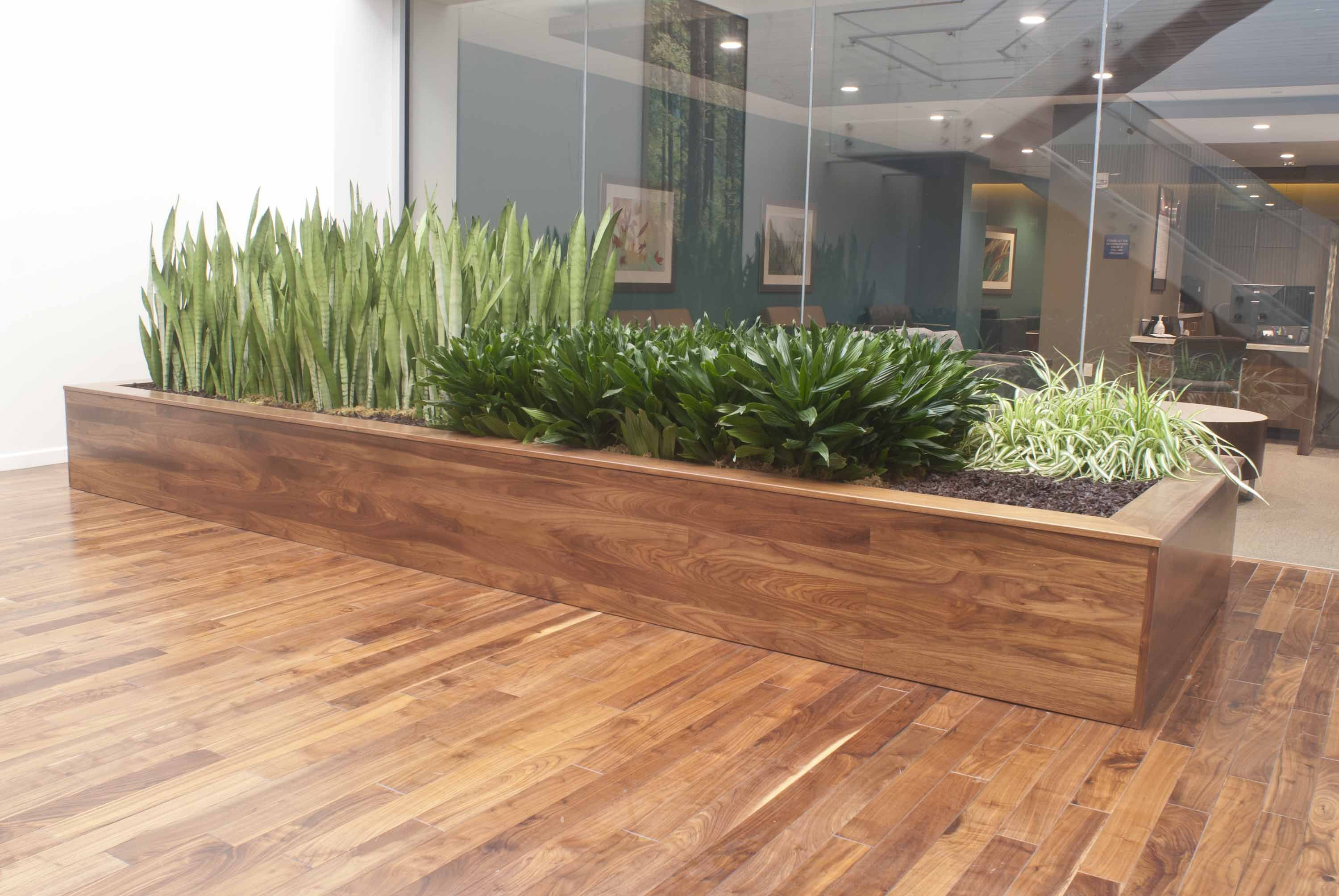 Best ideas about Indoor Planter Box
. Save or Pin Stylish and modern large scale planter box created by Now.