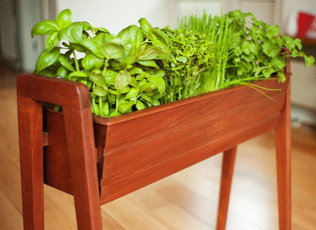 Best ideas about Indoor Planter Box
. Save or Pin 17 Best images about Hewn Planter Now.