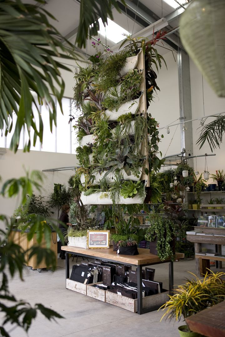 Best ideas about Indoor Vertical Garden
. Save or Pin 17 Best ideas about Indoor Vertical Gardens on Pinterest Now.